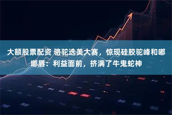 大额股票配资 骆驼选美大赛，惊现硅胶驼峰和嘟嘟唇：利益面前，挤满了牛鬼蛇神